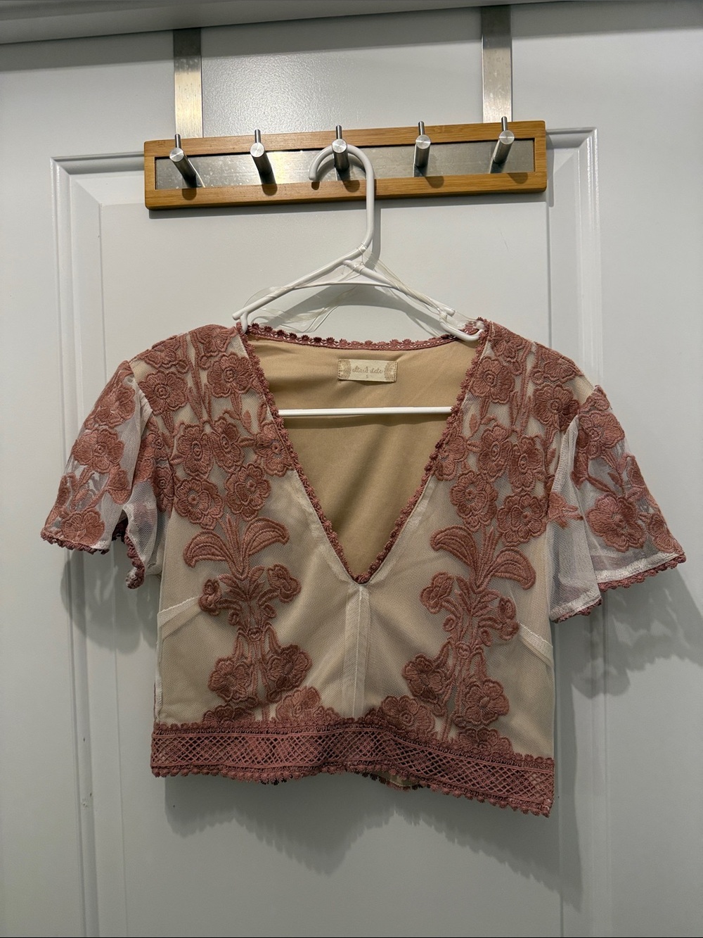 Altar'd State Dusty Rose Embroidered V-Neck Crop Top